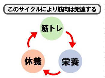 筋トレweb