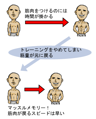 筋トレweb