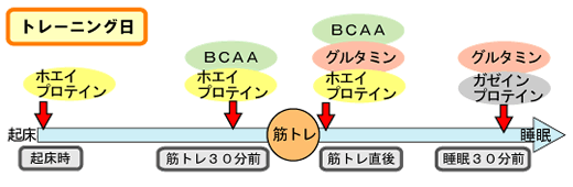 筋トレweb